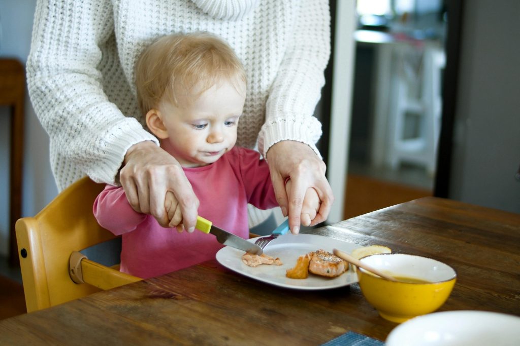 Low Carb Meals for Picky Eaters: Easy, Kid-Friendly Recipes and Tips